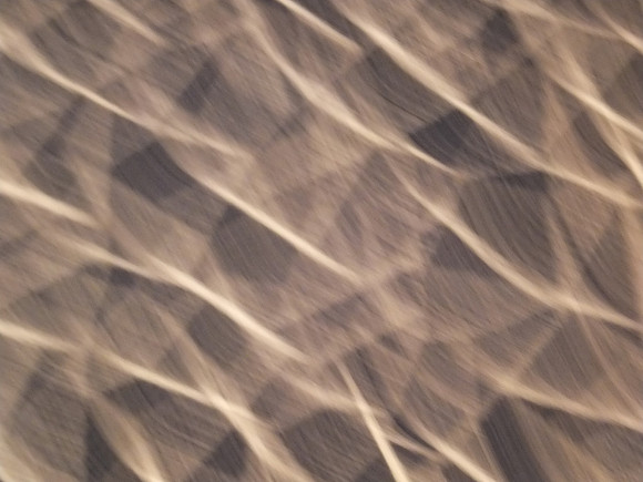 DSCF2494